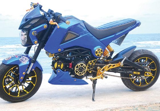 MSX125 MINI STREET BIKE